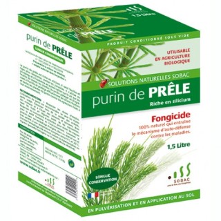 Purin de prÃªle 15 litre