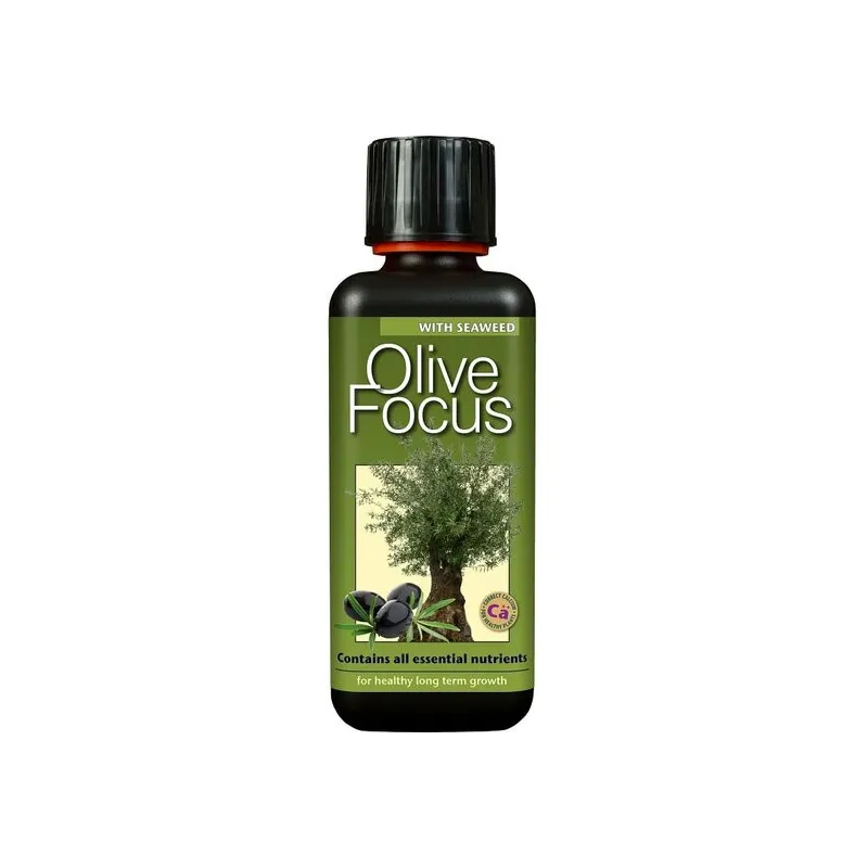 Olive Focus - 300 ml