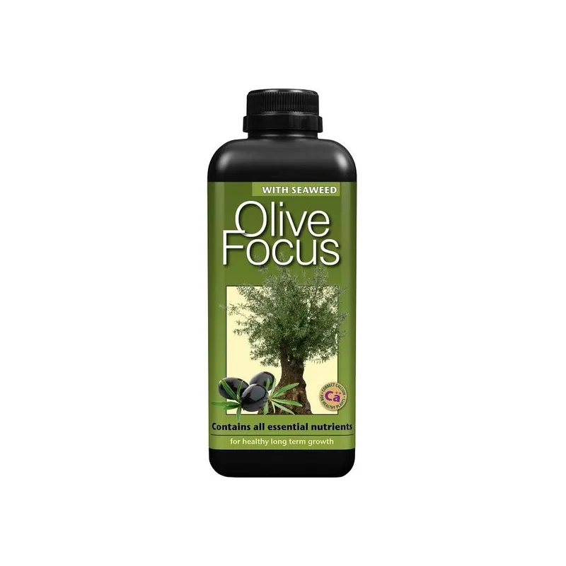 Olive Focus - 1000 ml