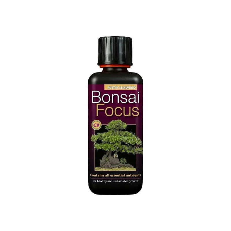 Bonsai Focus - 300 ml