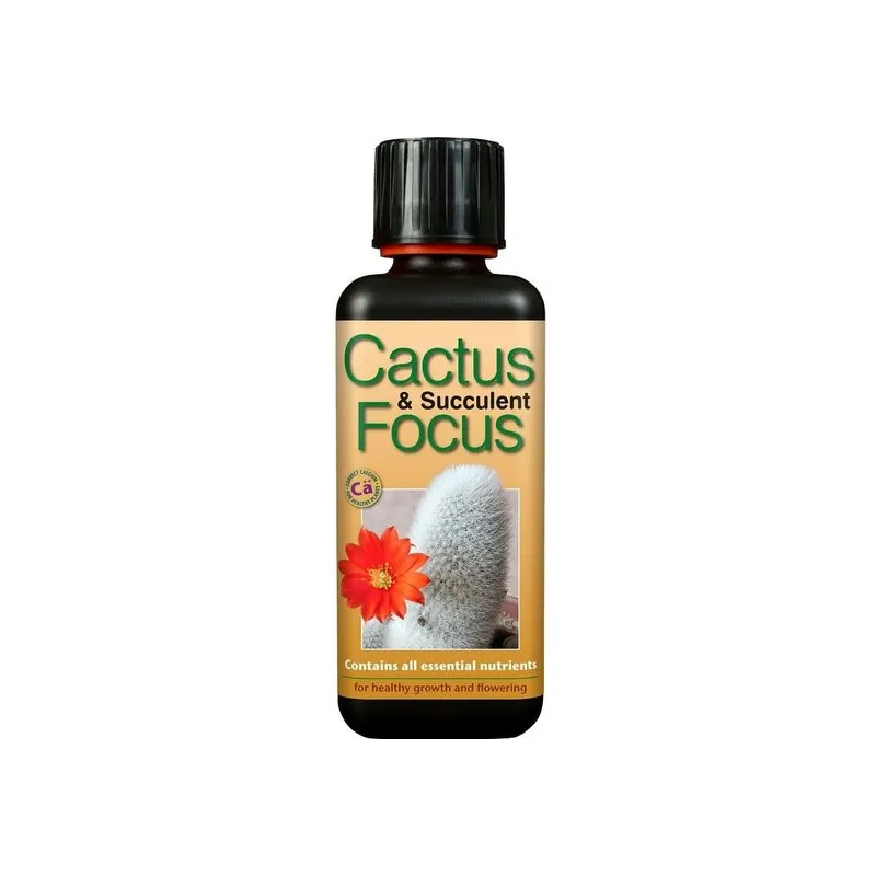 Cactus focus 300 ml