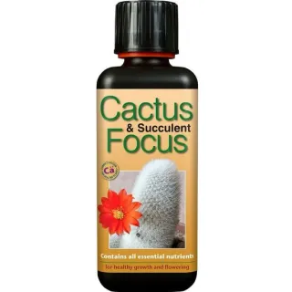 Cactus focus 300 ml