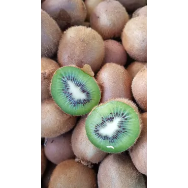 Actinidia deliciosa 'Hayward' / Kiwi 'Hayward' (Femelle)