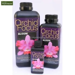 Orchid Focus Bloom 300 ml