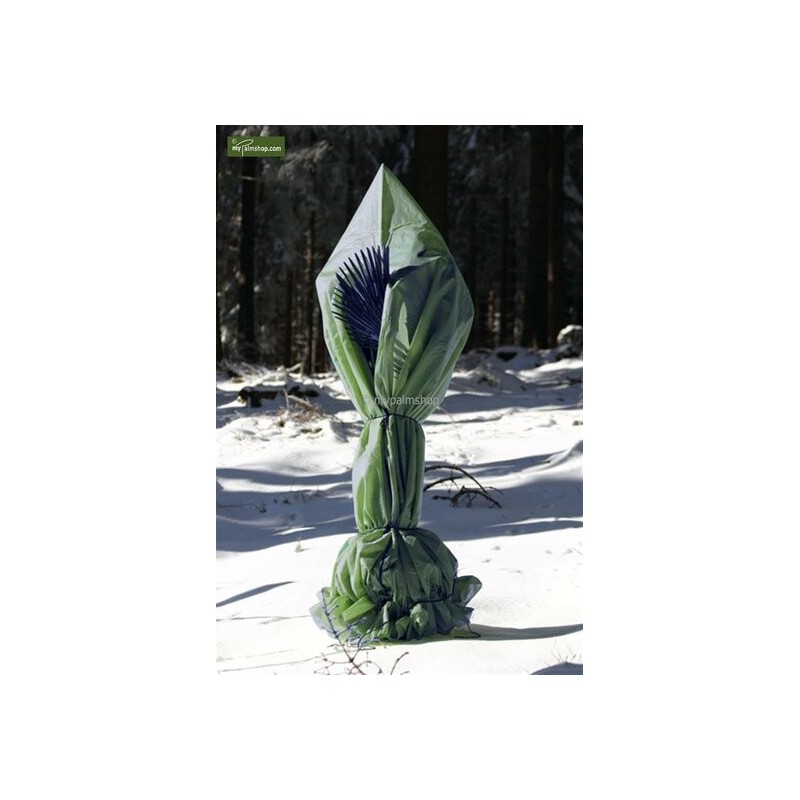 Protection hivernale pour plantes pyramide hauteur 200 cm