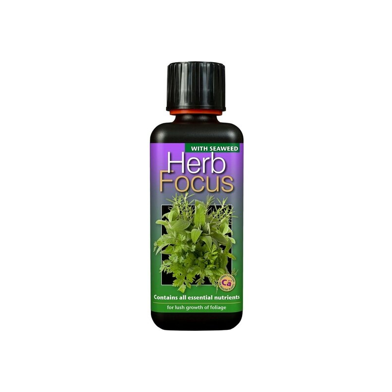 Herb focus 300 ml