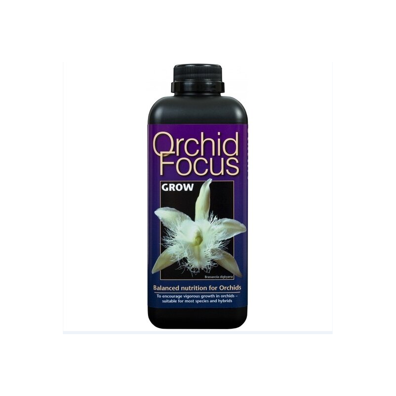 Orchid Focus Grow - 1 ltr