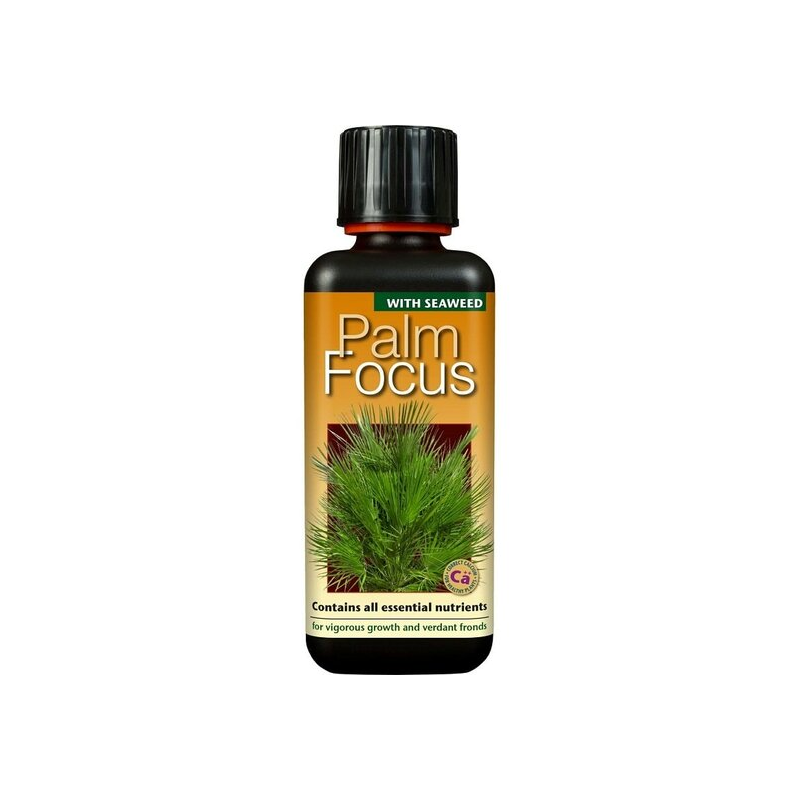 Palm Focus - 300 ml