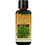 Palm Focus - 300 ml