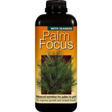 Palm Focus - 1000 ml