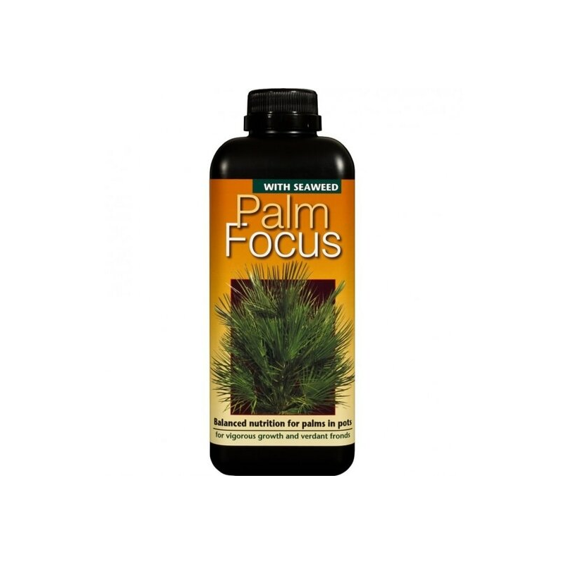 Palm Focus - 1000 ml