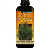 Palm Focus - 1000 ml