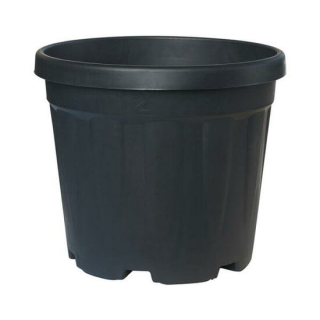 Grands pots pour palmier - Ø 31cm / 15 ltr.