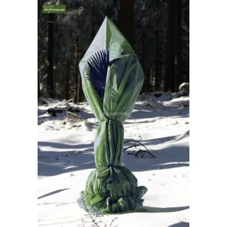 Protection hivernale pour plantes pyramide hauteur 200 cm