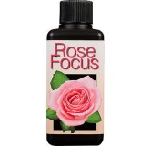 Rose Focus 300 ml