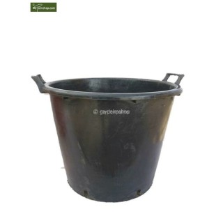 Pots taille XXL pour palmiers - Ø 55 cm / 65 ltr