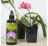 Orchid Myst 750ml