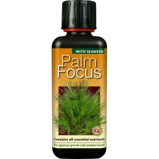 Palm Focus - 300 ml