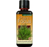 Palm Focus - 300 ml