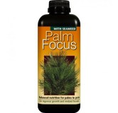 Palm Focus - 1000 ml