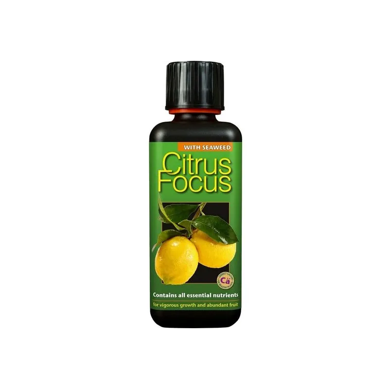 Citrus focus - 300 ml