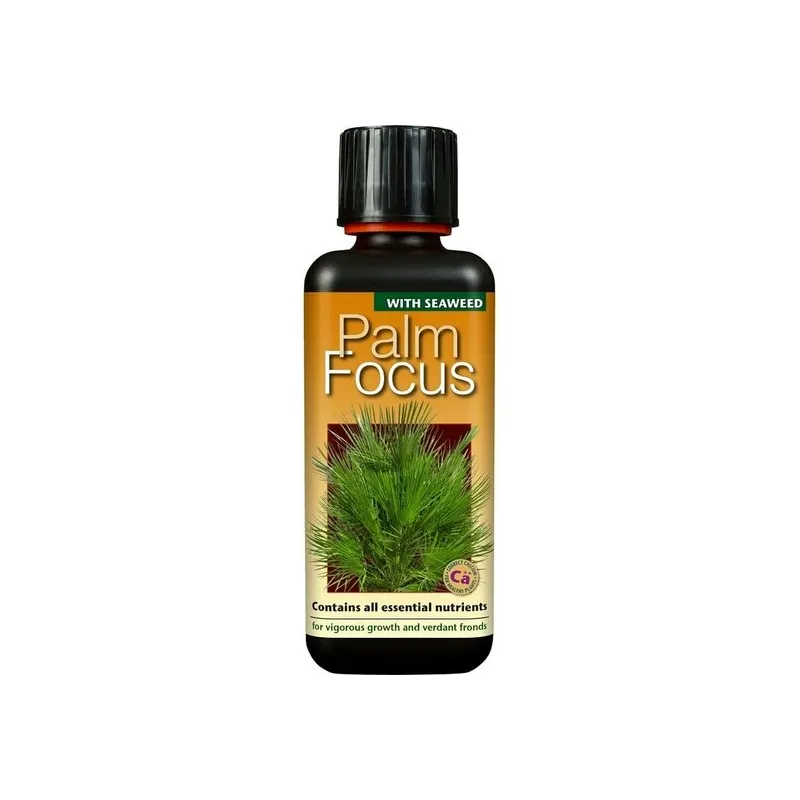 Palm Focus - 300 ml