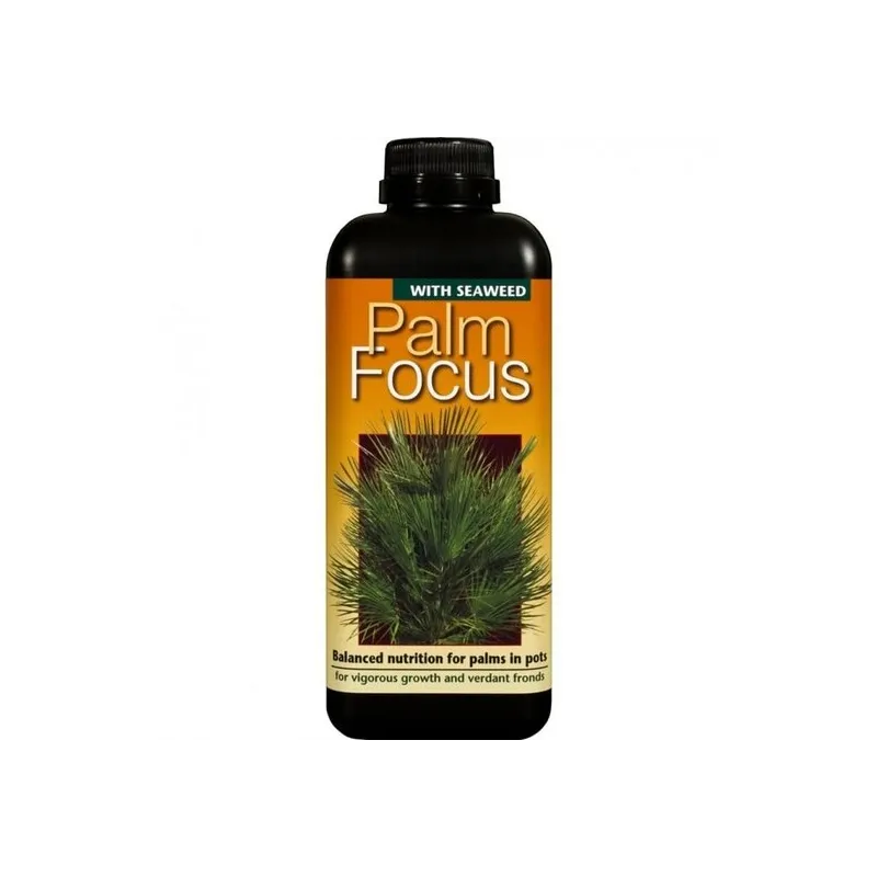 Palm Focus - 1000 ml